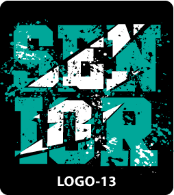 Logo Design 13 Class of 2026 shirts  Gariel Screen printing